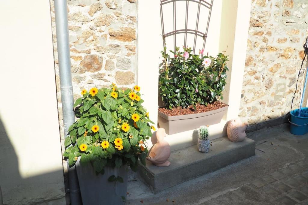 Appartement Duplex Et Terrasse A St Servan-St Malo Saint-Malo Ngoại thất bức ảnh